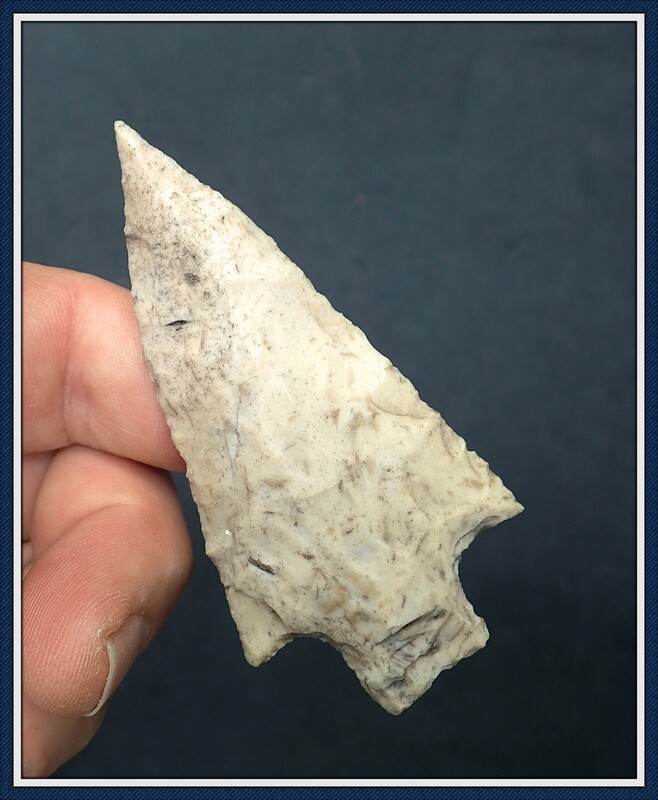 Classic Text Book ~ Florida Levy