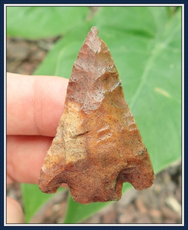 Orange Chert ~ Citrus Point