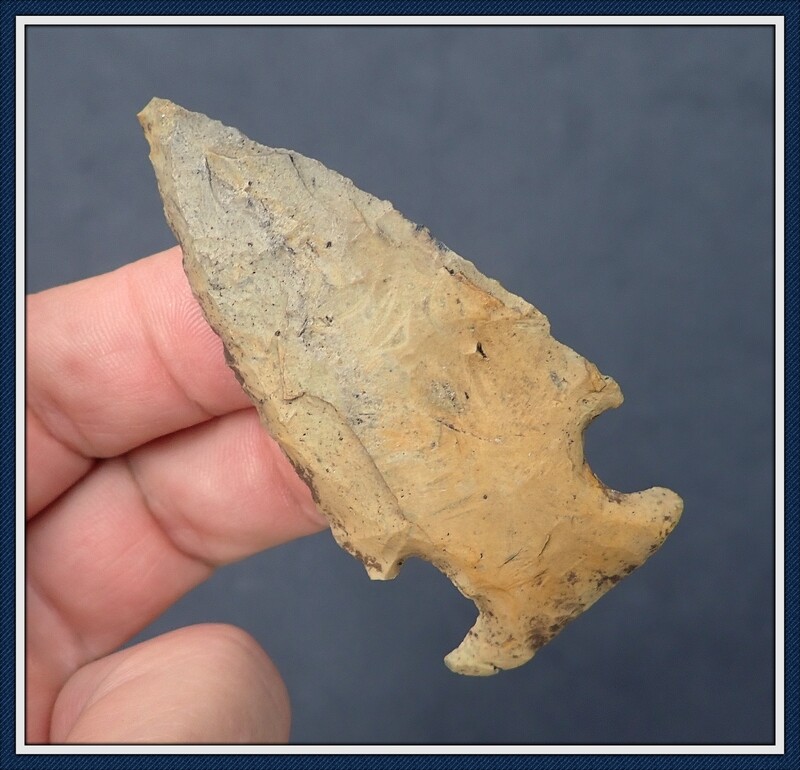 Golden Big Sandy with Size