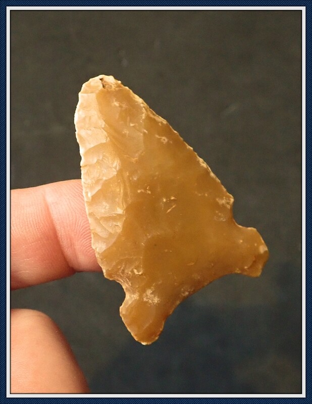 ~ Translucent Orange ~ Osceola Greenbrier ~Type 2