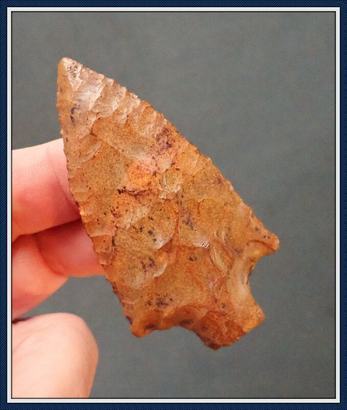 ~ Translucent Golden ~ Serrated Pickwick ~