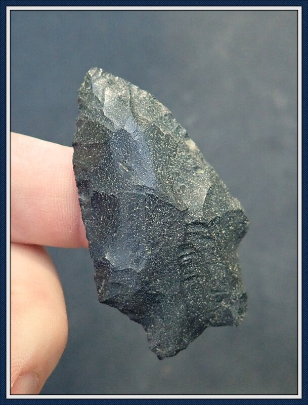 Classic Savannah River ~ Putnam Co. Florida