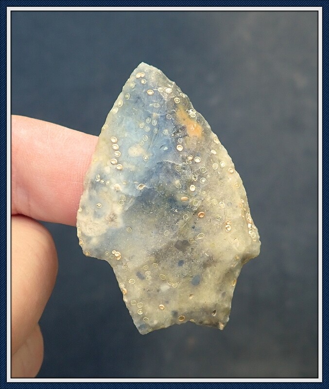 Egg Casing ~Savannah River ~ Wakulla Co. Florida