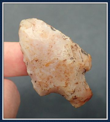 ~ Translucent ~ Coral Alachua Point ~ from Volusia Co. Florida ~