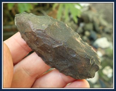 ~ Dale Co. Al. ~ Paleo Hendrix Scraper ~