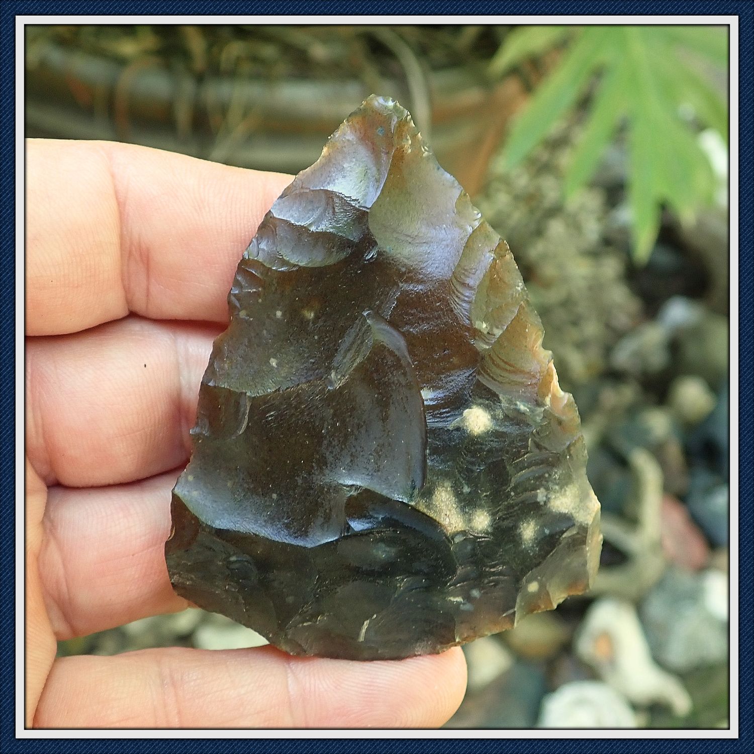 ~  Green Translucent ~ Morrow Mountain Blade ~