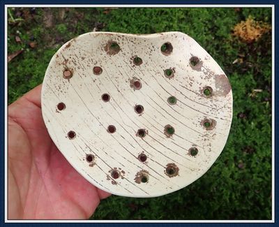 ~ Authentic ~ Perferated Shell Gorget ~