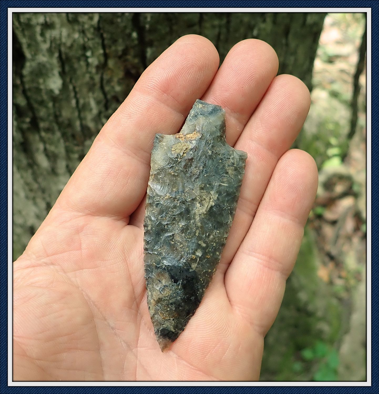 ~ Crisp Symmetrical ~ Semi-Translucent ~ Newnan Spear ~