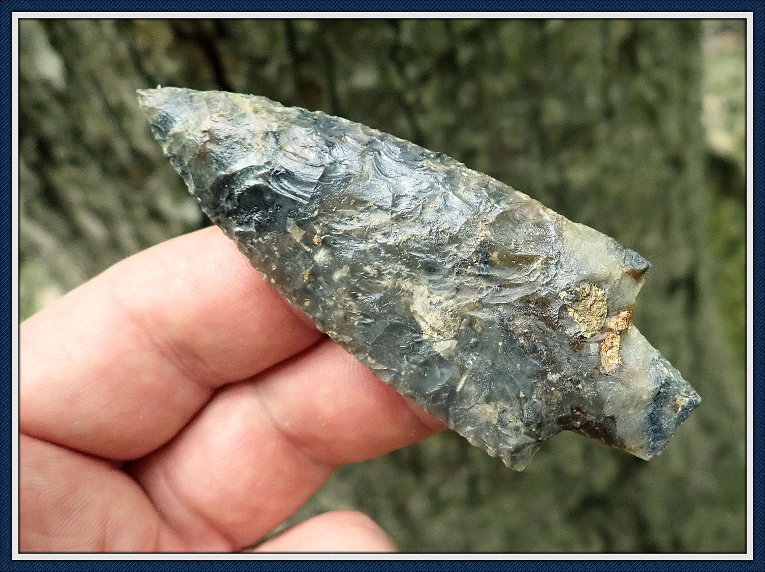 ~ Crisp Symmetrical ~ Semi-Translucent ~ Newnan Spear ~