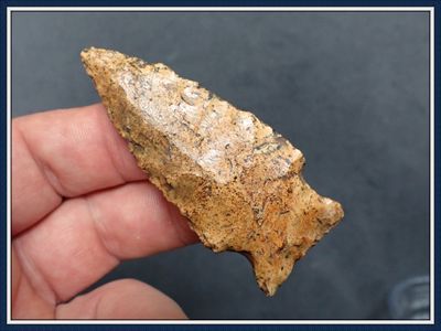 ~ Shiny Polished Gold ~ Columbia Point ~