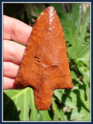 ~ Glossy Red ~ Marion Point ~ with Amazing Fossil Inclusion ~