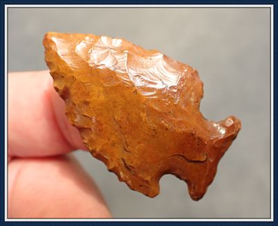 ~ Expanded Notch Bolen Plain Point ~
