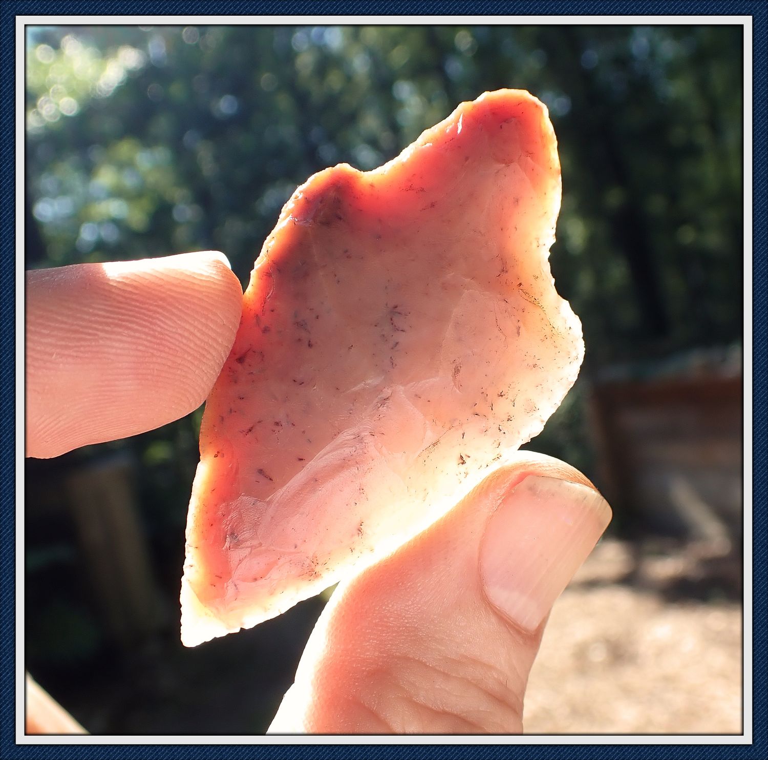 ~ Salmon Pink &amp; Cream ~ Translucent Sumter  ~
