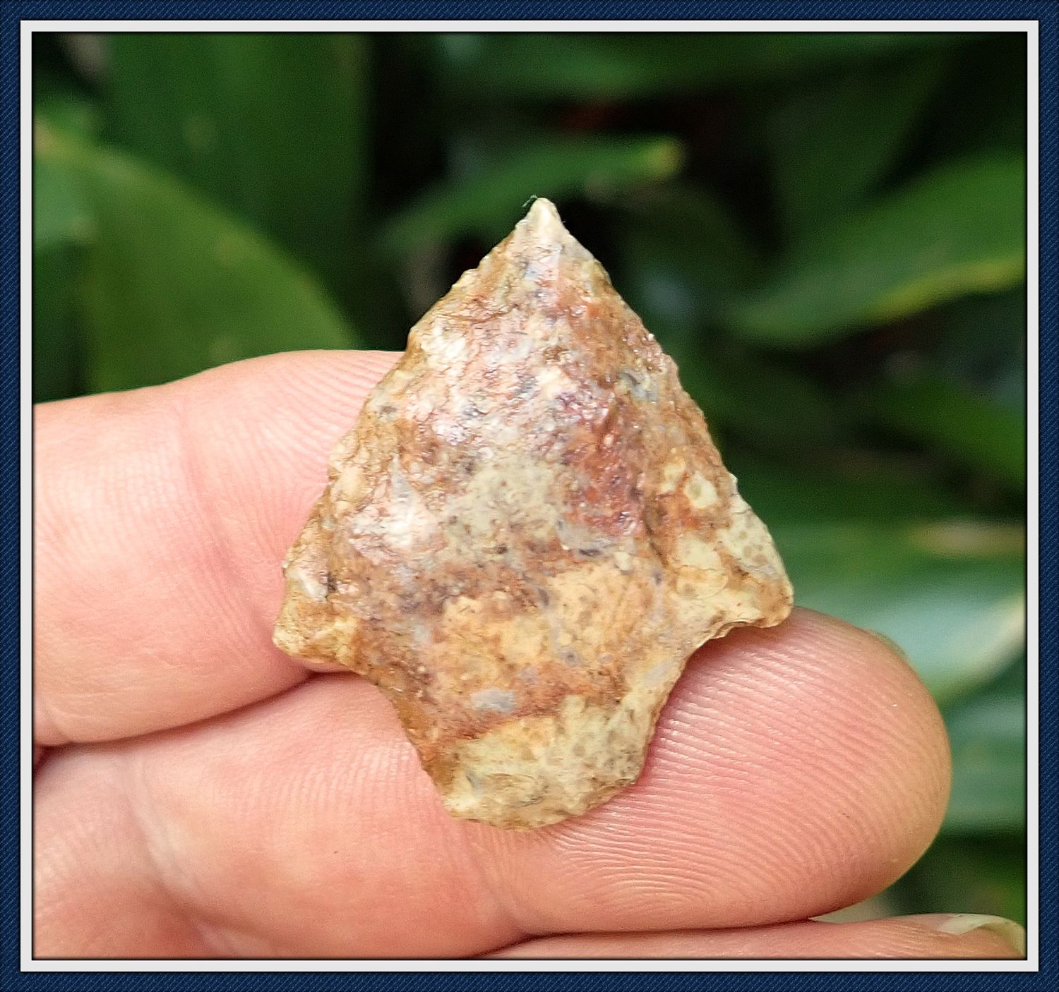 ~ Cute Little Baybottom Chert ~ Hardee Atlatl Dart ~ SOLD