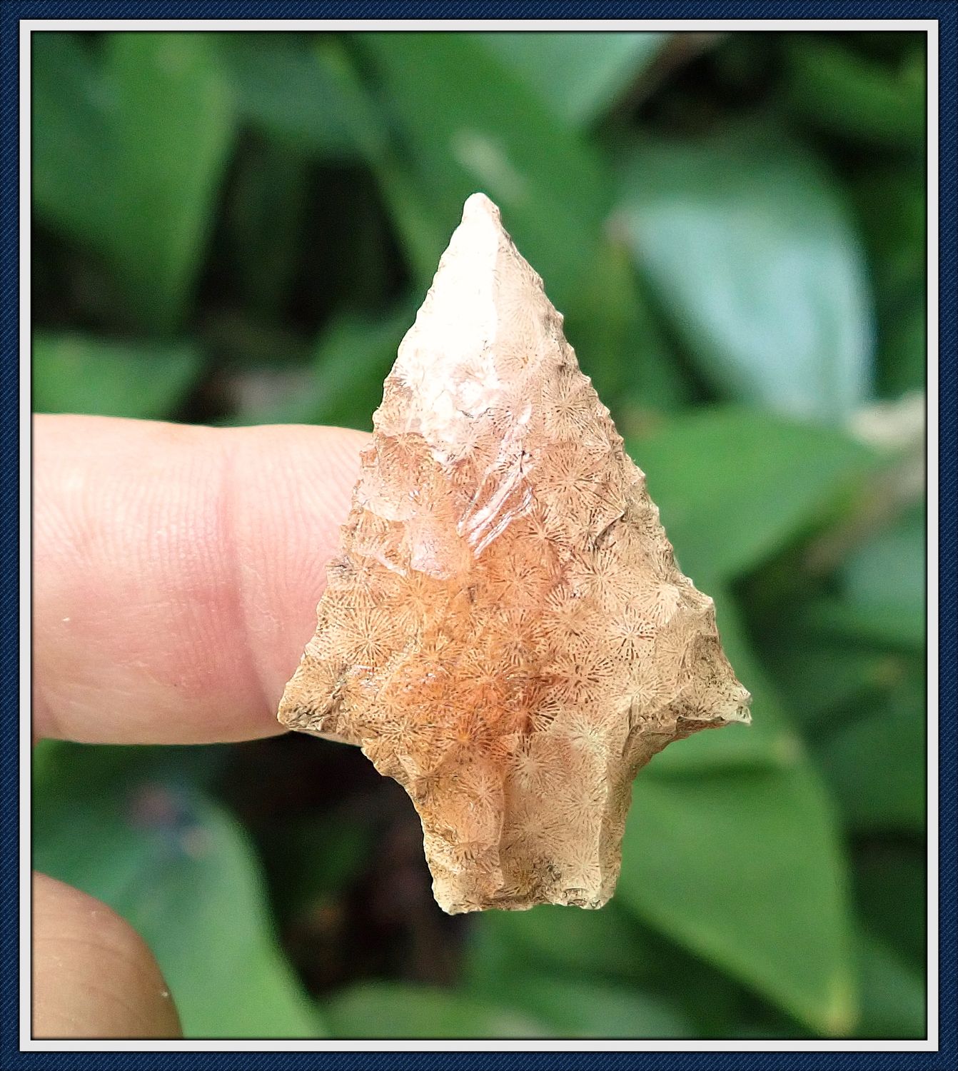 ~ Star Studded Coral ~ Hardee Atlatl Dart ~ SOLD