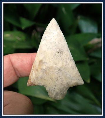 ~ Stamped Out Hardee ~ Good Sized Point! ~