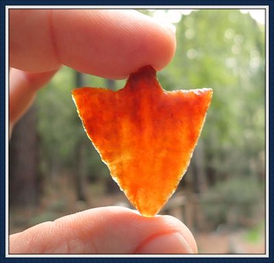 ~ On Fire ~ Hillsborough Point ~