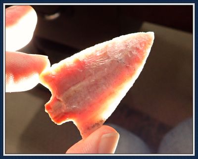 ~ Pink Translucent Coral ~ Newnan Point ~