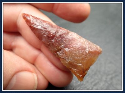~ Translucent Coral ~ Safety Harbor Point ~