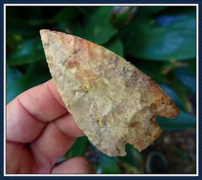 Hillsborough Co. Florida ~ Ft. Brooks ~ Citrus ~