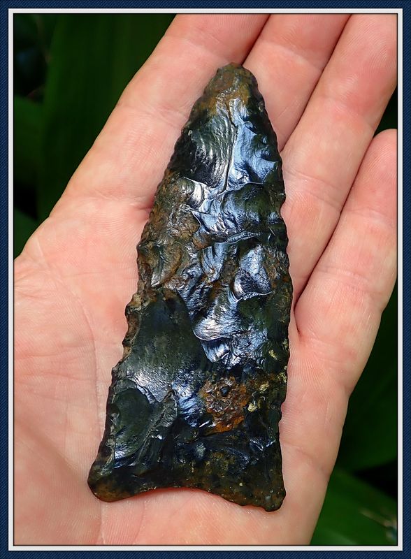 ~ Black & Gold ~ Paleo Suwannee Spear Point ~