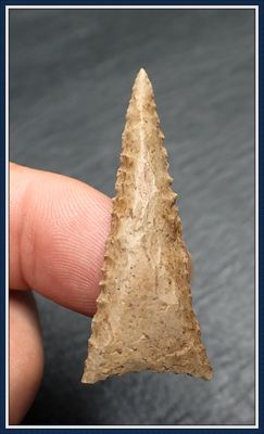 ~ Wicked Serrated ~ G-10 ~ Pinellas Point ~