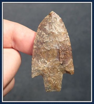 ~  Crisp Bay Bottom Chert ~ Newnan Point ~