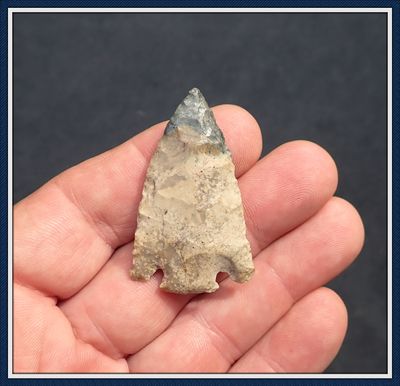 ~  Blue Tipped ~ Citrus Point ~