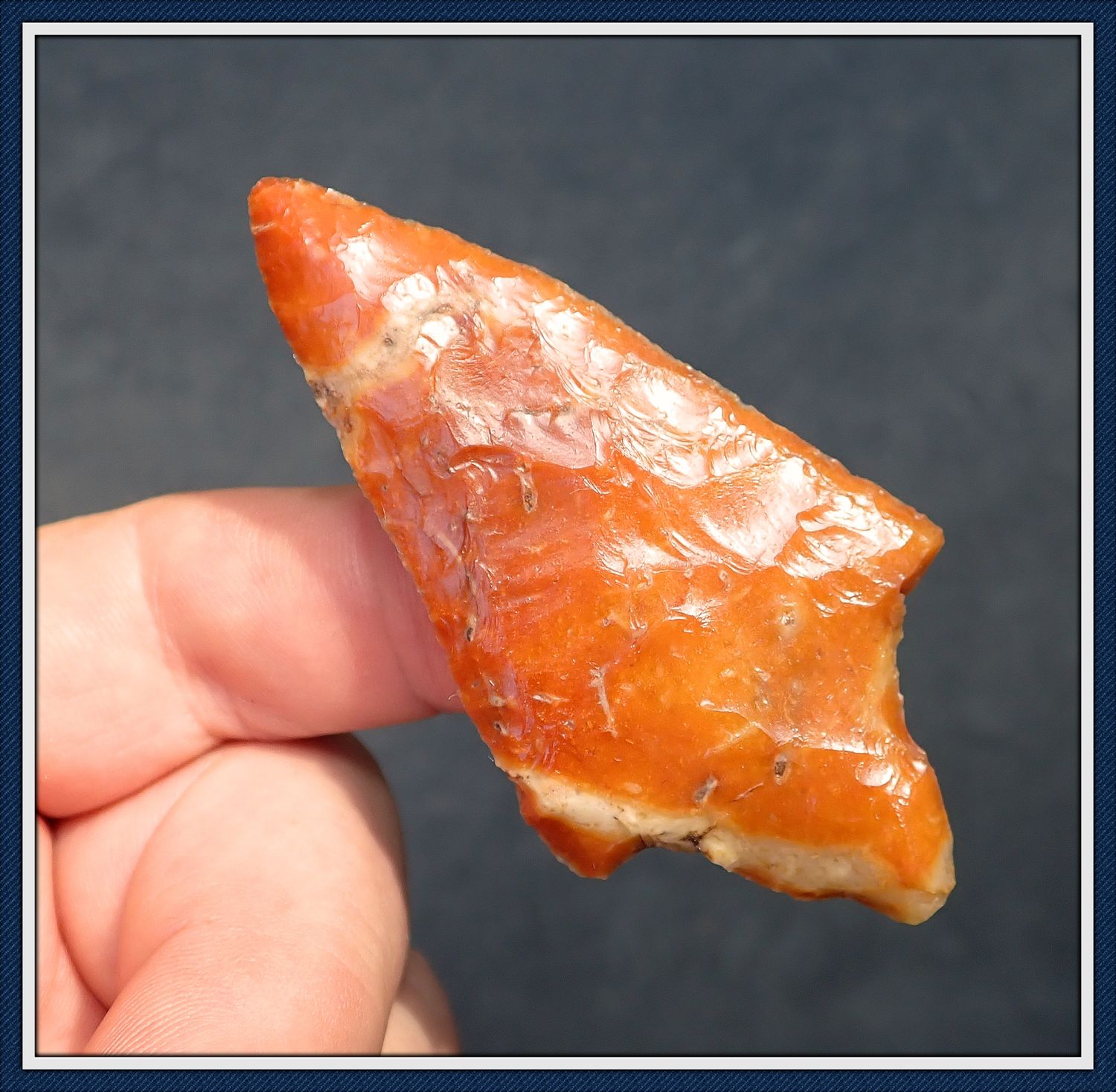 ~  Bright Orange &amp; Cream ~ Hardee Point ~