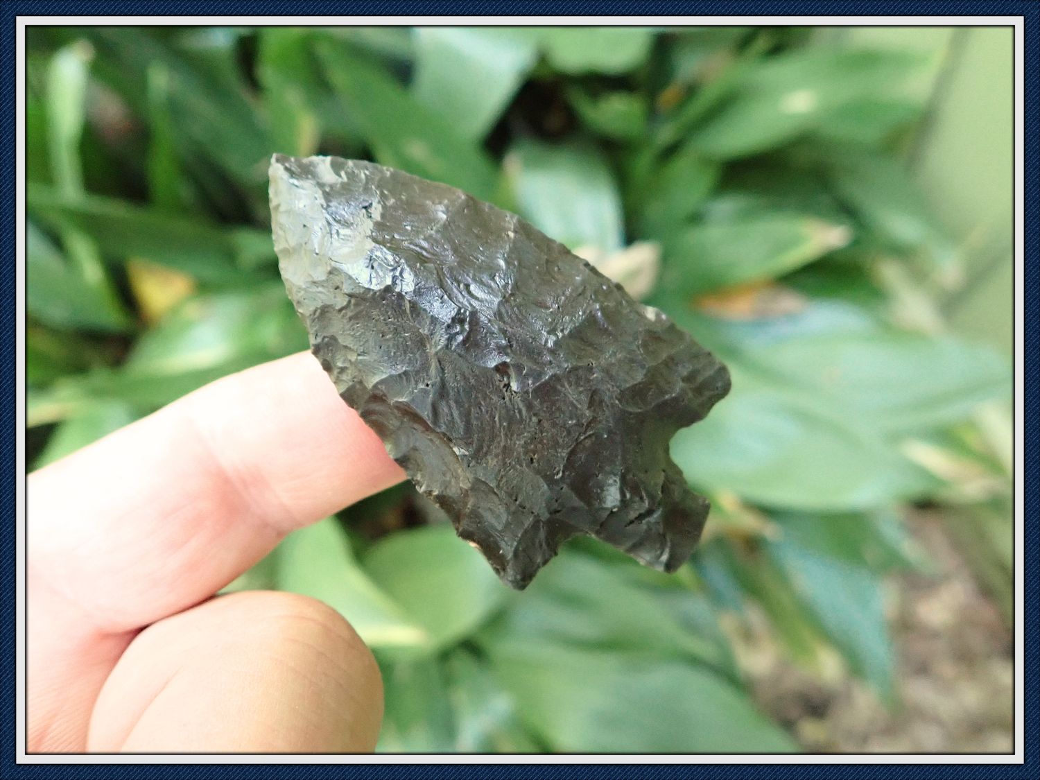~ Keen Tipped ~ Black Newnan ~