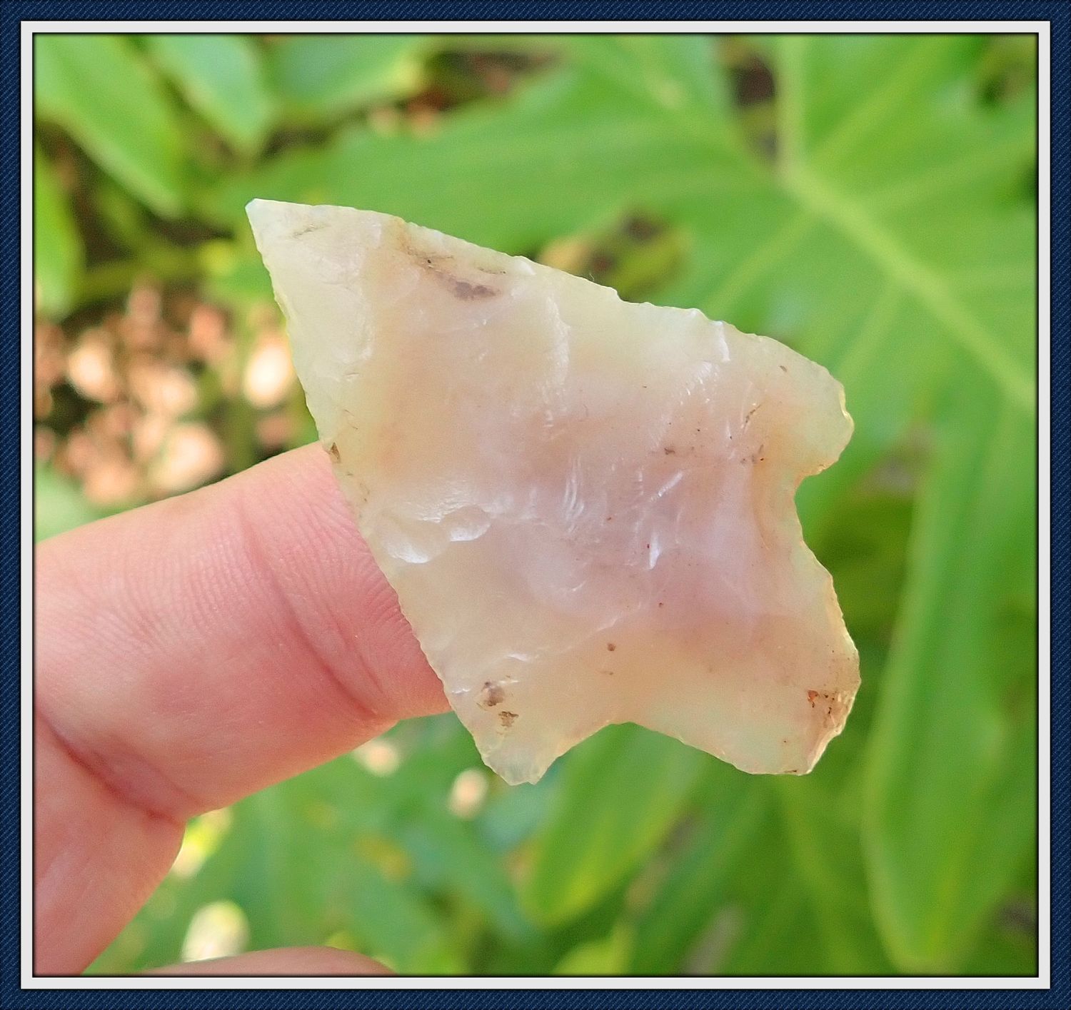 ~ Light Pink &amp; Cream ~ Translucent Coral Newnan ~