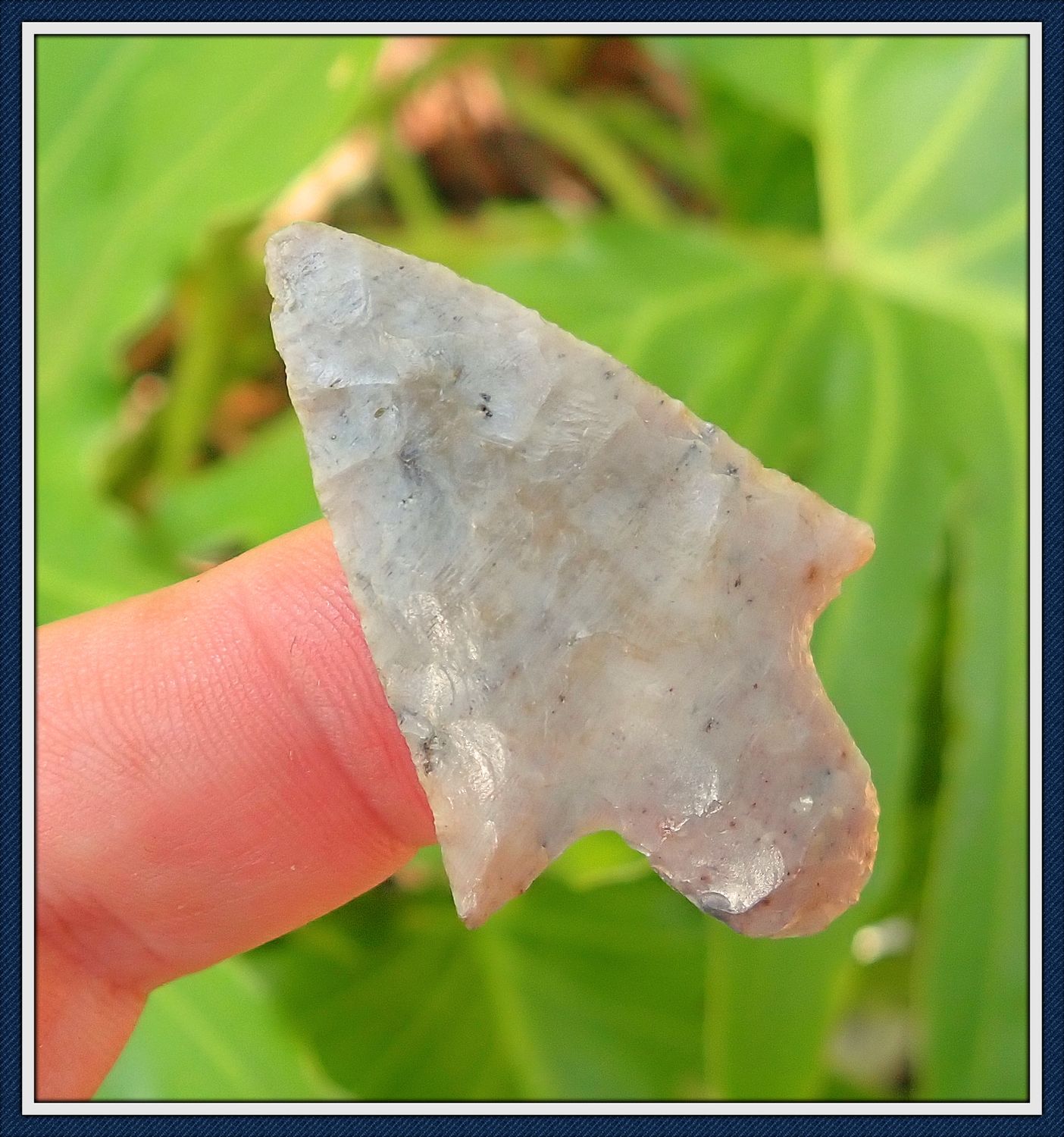 ~ Light Purple &amp; Cream ~ Translucent Coral Marion ~