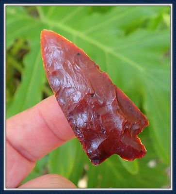 ~ Blood Red ~ Coral Newnan ~