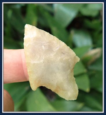 ~ Exhausted Cream Colored Coral  ~ Cypress Creek ~