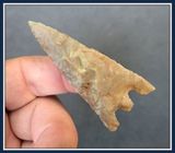 ~ Large Rice Grain Chert~ Orange Co. Florida ~ Hernando ~