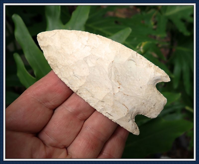 ~ Large Classic ~ Symmetrical ~ 1st Stage ~ Culbreath Point ~