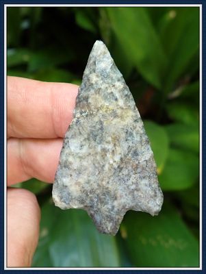 ~ Thin ~ Bay Bottom Chert ~ Citrus Co. Florida ~ Hillsborough Point ~