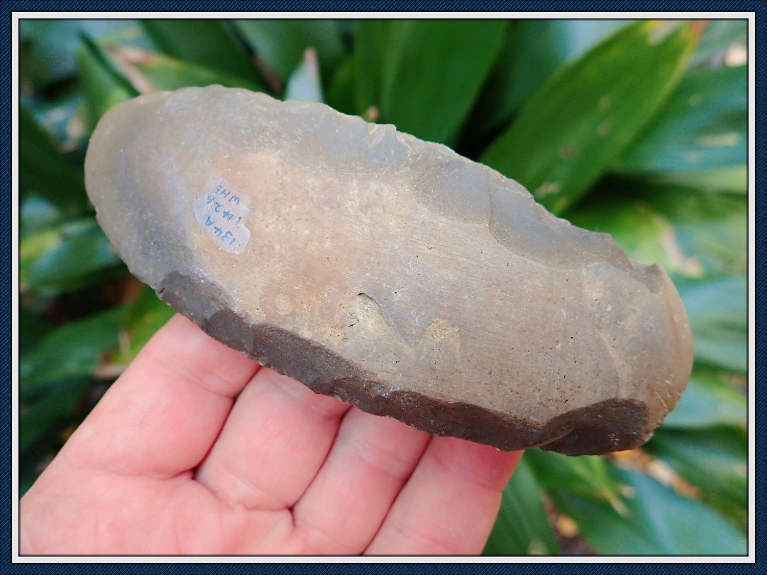 ~ North Alabama ~ Tan & Green Jasper ~ Polished Bit Adze ~