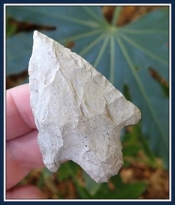 ~ Keen tipped ~ Marion Co. Florida ~ Cypress Creek Point ~