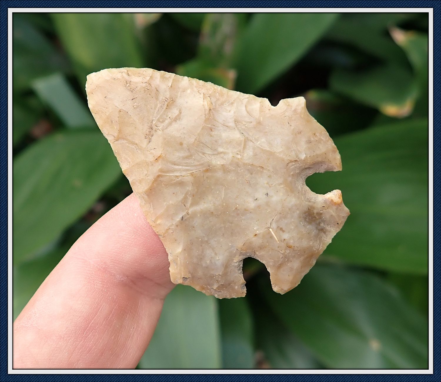 ~ Wide Delta Winged Clay ~