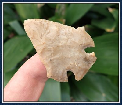 ~ Wide Delta Winged Clay ~