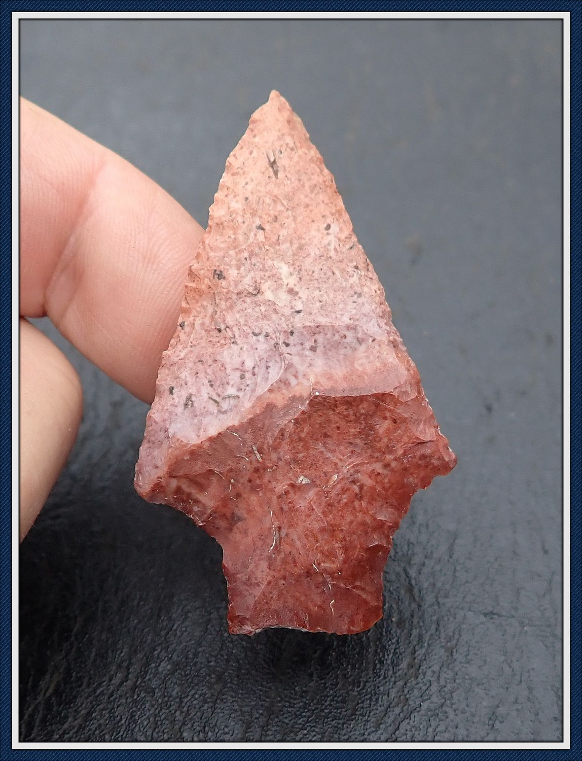 ~ Gorgeous Two Toned ~ Hardee Point ~