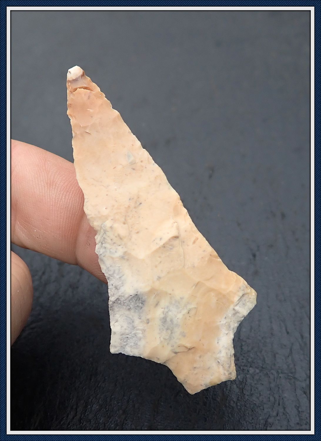 ~ Glued tip ~ Hardee Point ~