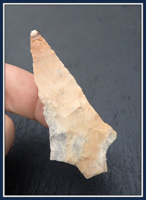 ~ Glued tip ~ Hardee Point ~