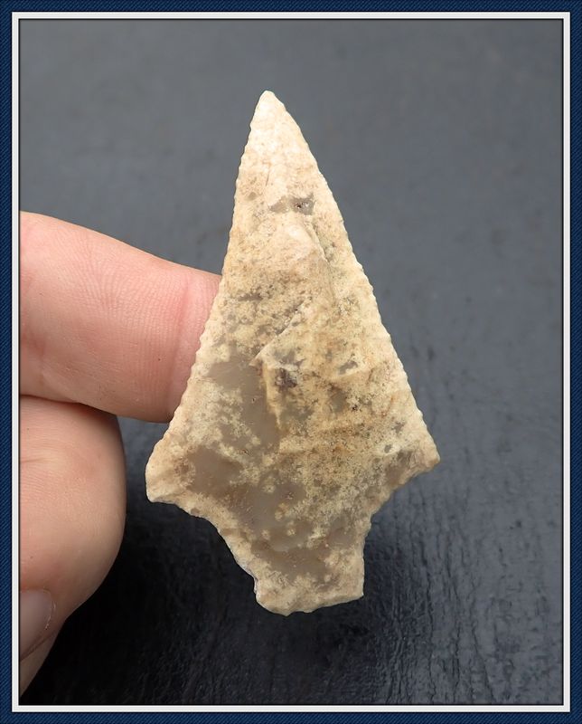 ~ Finely Serrated ~ Hardee Point ~