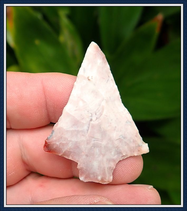 ~ Red Eared ~ Hardee Point ~ Pasco Co. Florida ~