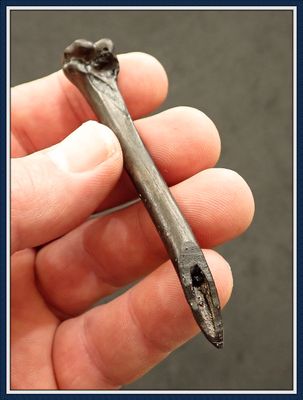 ~ Bird Bone Awl ~ Taylor Co. Florida ~