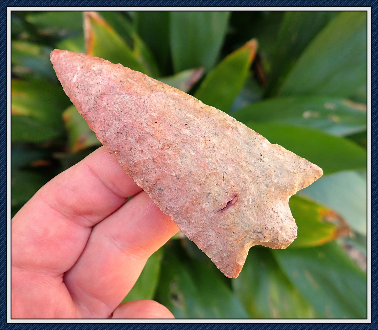 ~ Big Pasco Co. ~ Pink & Gold Hillsborough Spear ~ SOLD