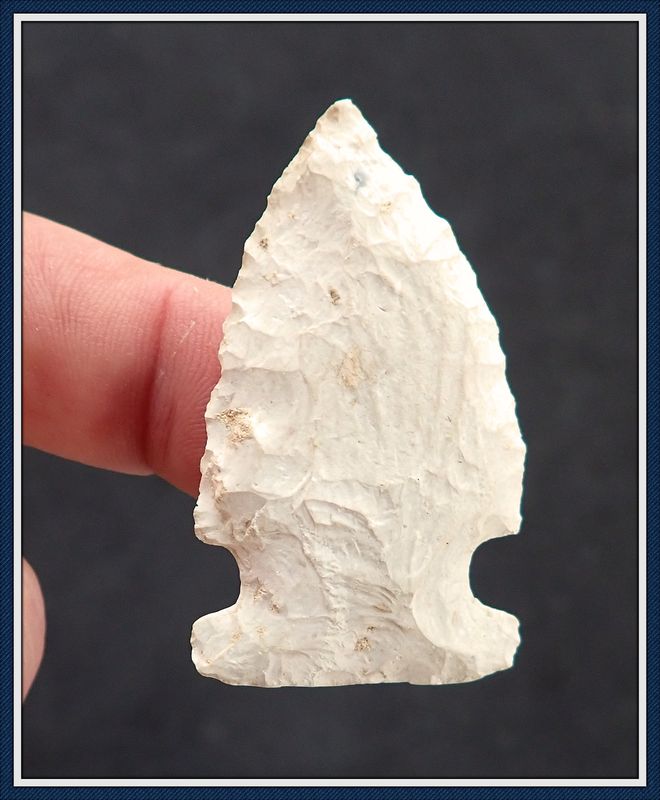 ~ Weeki Wachee ~ Greenbrier Spear Tip ~