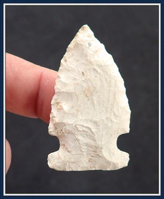 ~ Weeki Wachee ~ Greenbrier Spear Tip ~